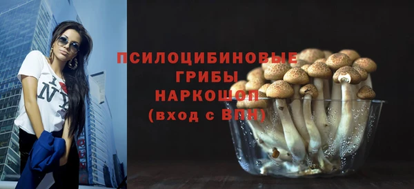 дживик Новодвинск