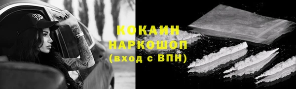 дживик Новодвинск